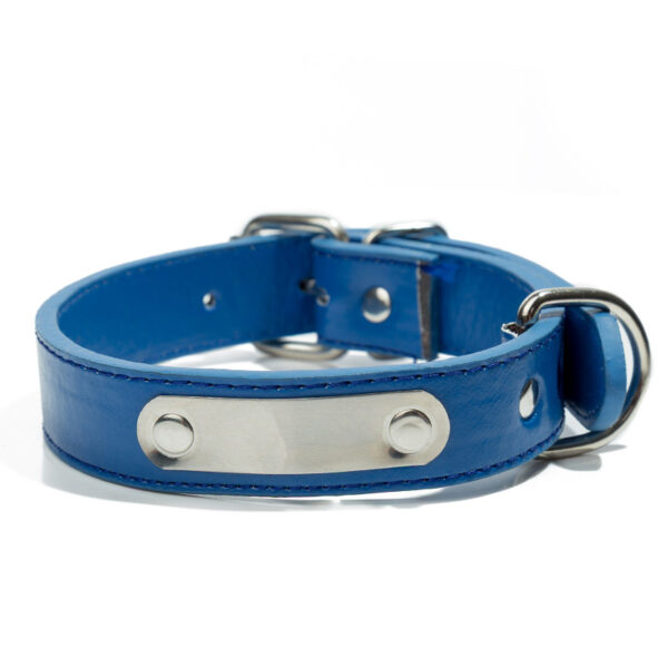 Leather Dog Collar with Metal Stainless Steel Plate