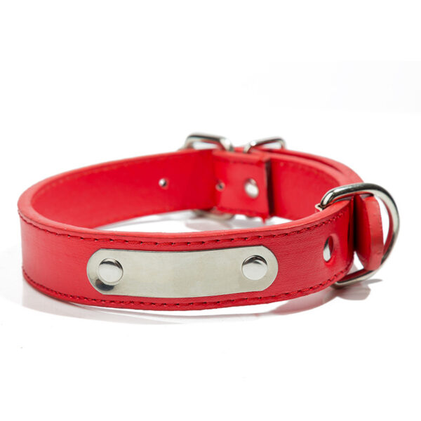 Leather Dog Collar with Metal Stainless Steel Plate - Image 3